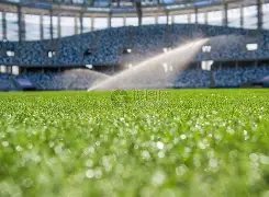 独家爆料,拜仁瞄准费,耶诺德强援,一号娱乐集团,一号娱乐游戏,一号娱乐集团,一号娱乐官网,一号娱乐