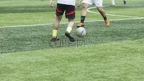 东京马拉松引7万观众围观，官员表达感激之情