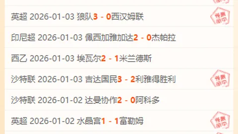 “麦卡利斯特转会身价飙升至9000万欧元——德国转会市场最新公布”