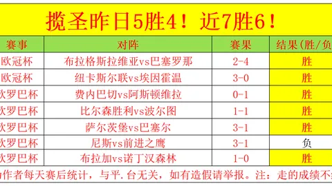 鹏城星光：深圳足球梦想之旅